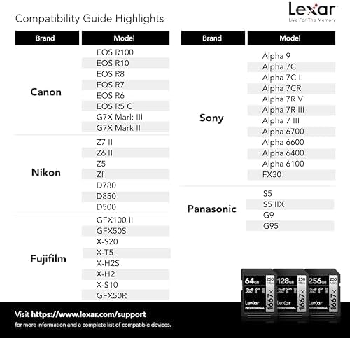 Professional 1667x SD Card