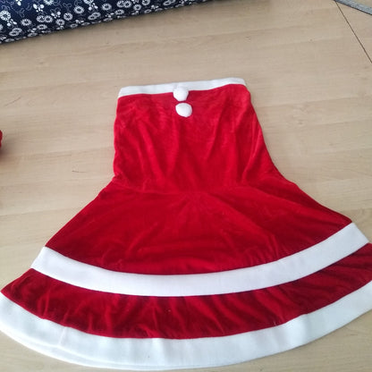 Christmas Dance Costume
