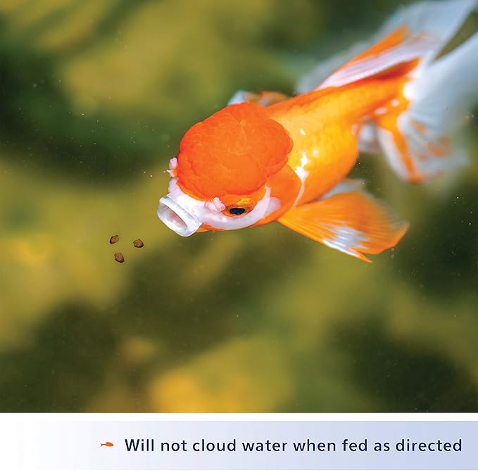 Aqueon Goldfish Fish