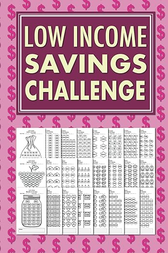 Low Income Savings Challenge Book
