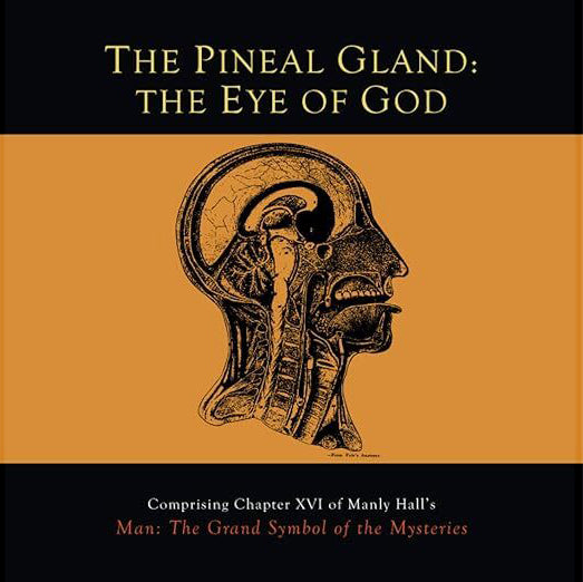 The Pineal Gland