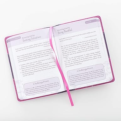 365 Days to Knowing God