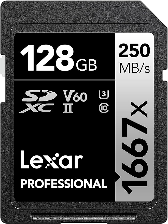 Professional 1667x SD Card