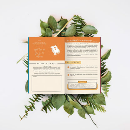 40 Weeks Bible Study