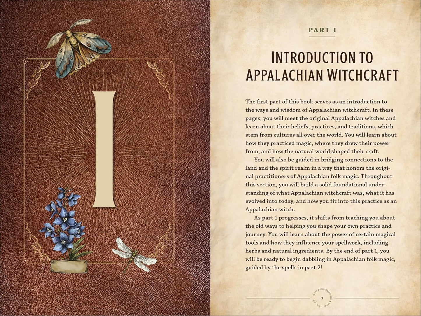 Appalachian Witchcraft for Beginners