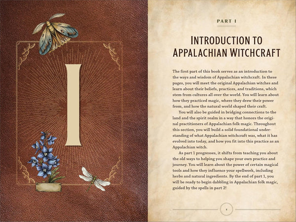 Appalachian Witchcraft for Beginners